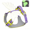 GlowPaw™ Angel Wings Pet Sling – Reflective Hands-Free Carrier for Small Dogs & Cats